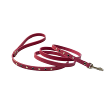 Load image into Gallery viewer, Brie Leather Crystal Dog Leash Around the Collar