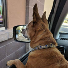 Load image into Gallery viewer, Callie Cluster of Crystals Leather Dog Collar Product vendor