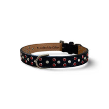 Load image into Gallery viewer, Bling leather Callie Dog Collar