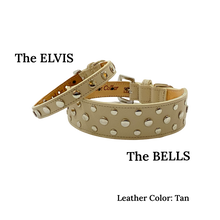 Load image into Gallery viewer, Bells Stud Cluster Wider Width Dog Collar Product vendor