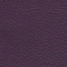 Cargar imagen en el visor de la galería, Leather Colors Product vendor