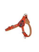 Load image into Gallery viewer, Ladybug Step-in Leather Dog Harness Product vendor
