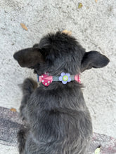 Load image into Gallery viewer, Eudora Ladybug Leather Dog Collar Product vendor