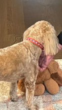 Load image into Gallery viewer, Shanti Jewel Dog Collar with Alternating Crystals Product vendor