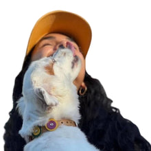 Load image into Gallery viewer, Camel leather Brady dog collar by Around the Collar Multi discs