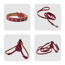 Load image into Gallery viewer, Brie Leather Crystal Dog Leash Product vendor