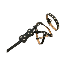 Load image into Gallery viewer, Bone Leather All-In-One Harness with Bone Slider and 6 Austrian Crystals Product vendor
