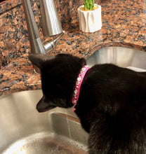 Load image into Gallery viewer, Shanti Leather Cat Collar with Single Row Crystals Close Together Product vendor