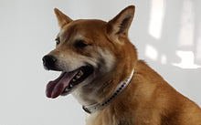 Load image into Gallery viewer, Shanti Jewel Dog Collar with Alternating Crystals Product vendor
