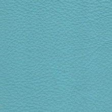 Cargar imagen en el visor de la galería, Leather Colors Product vendor