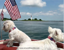 Load image into Gallery viewer, Breck Leather Star Dog Collar with 4 Crystals Between Stars Product vendor