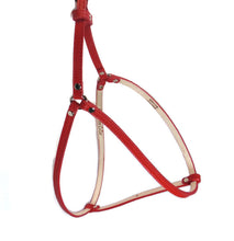 Load image into Gallery viewer, Classic Leather All-In-One Harness - Around The Collar NY