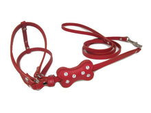 Load image into Gallery viewer, Bone Leather All-In-One Harness with Bone Slider and 6 Swarovski Crystals - Around The Collar NY