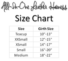 Load image into Gallery viewer, Bone All-In-One Dog Harness with Bone Slider and 3 Austrian Crystals Product vendor