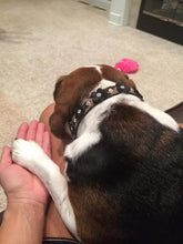 Load image into Gallery viewer, Riley Leather Flower Collar - Around The Collar NY