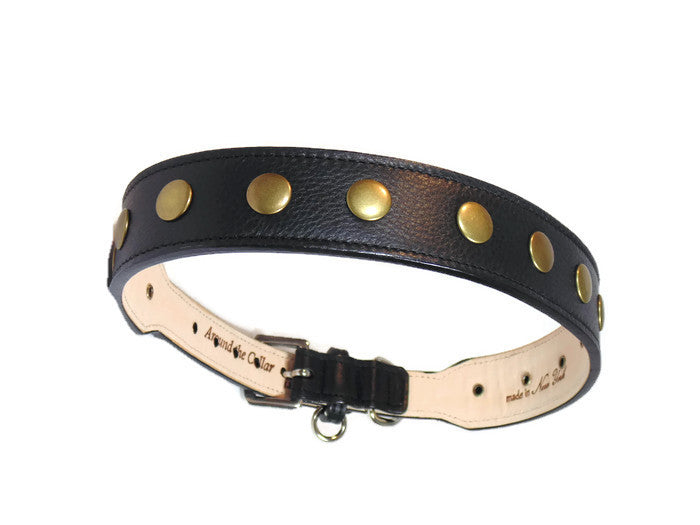 Black and Antique Brass Hardware Large Dog Collar