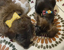 Load image into Gallery viewer, Bow Leather Dog Collar with Crystals on Large Bow Product vendor