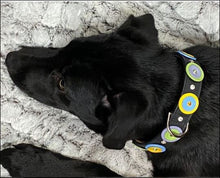 Load image into Gallery viewer, Brady Double Disc Leather Dog Collar with Crystals on Disc and Collar Product vendor