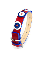 Load image into Gallery viewer, Brady Americana Double Disc Dog Collar with Crystal on Disc