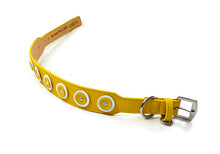 Load image into Gallery viewer, Brady Double Disc Wider Leather Dog Collar with Crystal on Disc Product vendor