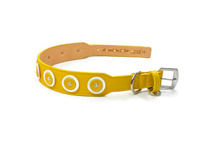 Brady Double Disc Wider Leather Dog Collar with Crystal on Disc