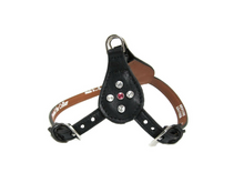 Load image into Gallery viewer, Brie Leather Step In Harness with Crystals on Side Tabs