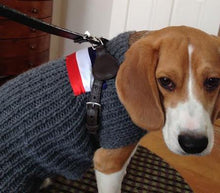 Cargar imagen en el visor de la galería, Classic Leather Step-In Dog Harness Product vendor