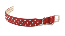 Load image into Gallery viewer, Callie Crystal Cluster Wider Leather Dog Collar - Around The Collar NY