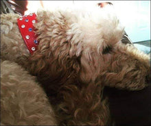 Load image into Gallery viewer, Callie Crystal Cluster Wider Leather Dog Collar - Around The Collar NY