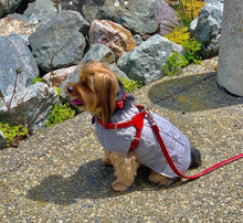 Load image into Gallery viewer, Bow Dog Leather Collar with Small Clear Crystals on Bow Product vendor