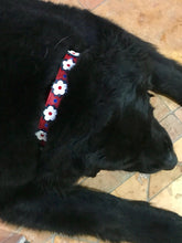 Load image into Gallery viewer, Penelope Flower Leather Dog Collar with Crystals on Flower &amp; Collar