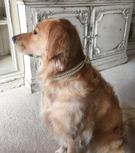 Load image into Gallery viewer, Ava Double Row Austrian Crystal Christmas Leather Dog Collar Product vendor