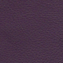 Load image into Gallery viewer, Grape leather