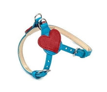 Load image into Gallery viewer, Heart Leather Step-In Harness - Around The Collar NY