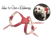Cargar imagen en el visor de la galería, Classic Leather K Harness - Around The Collar NY