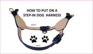 Leather dog stepin harness. Custom made in USA Around the Collar