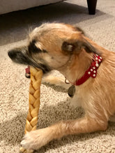 Load image into Gallery viewer, Leather Bow Dog Collar with Small Crystals on Bow - Around The Collar NY