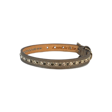 Load image into Gallery viewer, Shanti Jewel Dog Collar with Alternating Crystals Product vendor