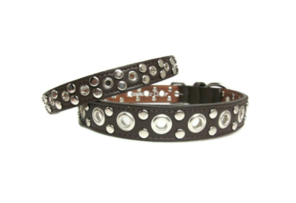 Jaxon_CollarsBlack2widths_1200