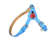 Load image into Gallery viewer, Ladybug Step-in Leather Dog Harness Product vendor