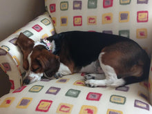 Load image into Gallery viewer, Riley Leather Flower Collar - Around The Collar NY