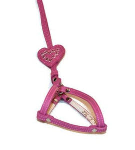 Heart All-In-One Harness with Crystals - Around The Collar NY