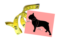 Cargar imagen en el visor de la galería, Classic Leather Step-In Harness - Around The Collar NY