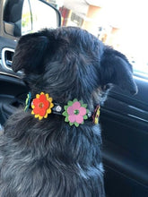 Load image into Gallery viewer, Penelope Multi Color Flower Leather Dog Collar with Crystals on Flower and Collar - Around The Collar NY