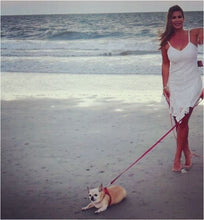 Load image into Gallery viewer, Brie Leather Step-In Harness with Bezel Set Crystals - Around The Collar NY