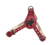 Load image into Gallery viewer, Malka Step-In Harness - Around The Collar NY