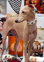 Load image into Gallery viewer, Riley Leather Flower Dog Collar Product vendor