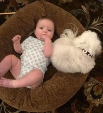 Load image into Gallery viewer, Riley Leather Flower Dog Collar Product vendor