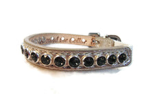 Load image into Gallery viewer, Shanti Leather Cat Collar with Single Row Crystals Close Together Product vendor
