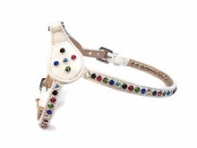 Load image into Gallery viewer, Shanti Step-In Harness - Around The Collar NY